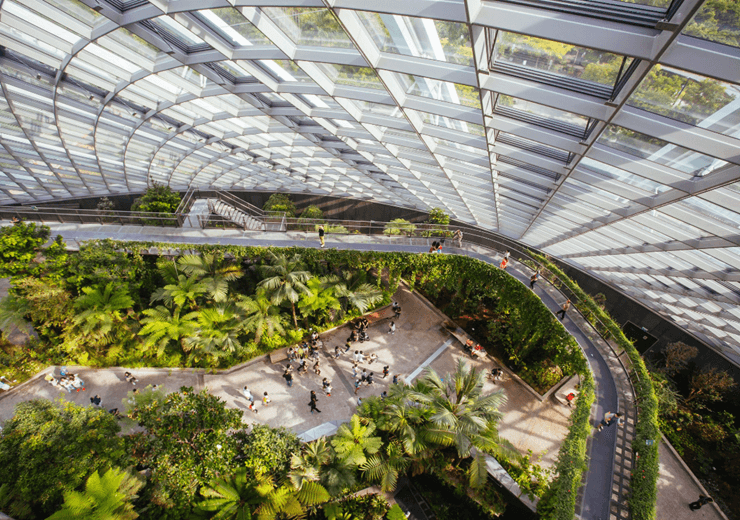 ©Adobstock Filedimage Gardens By The Bay In Singapore (1)