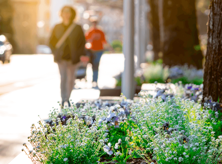 ville et nature © Artinun -AdobeStock