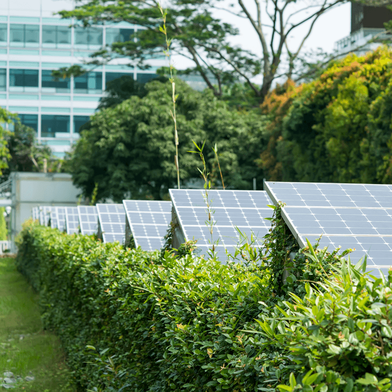 Energie et sobriété © Canva