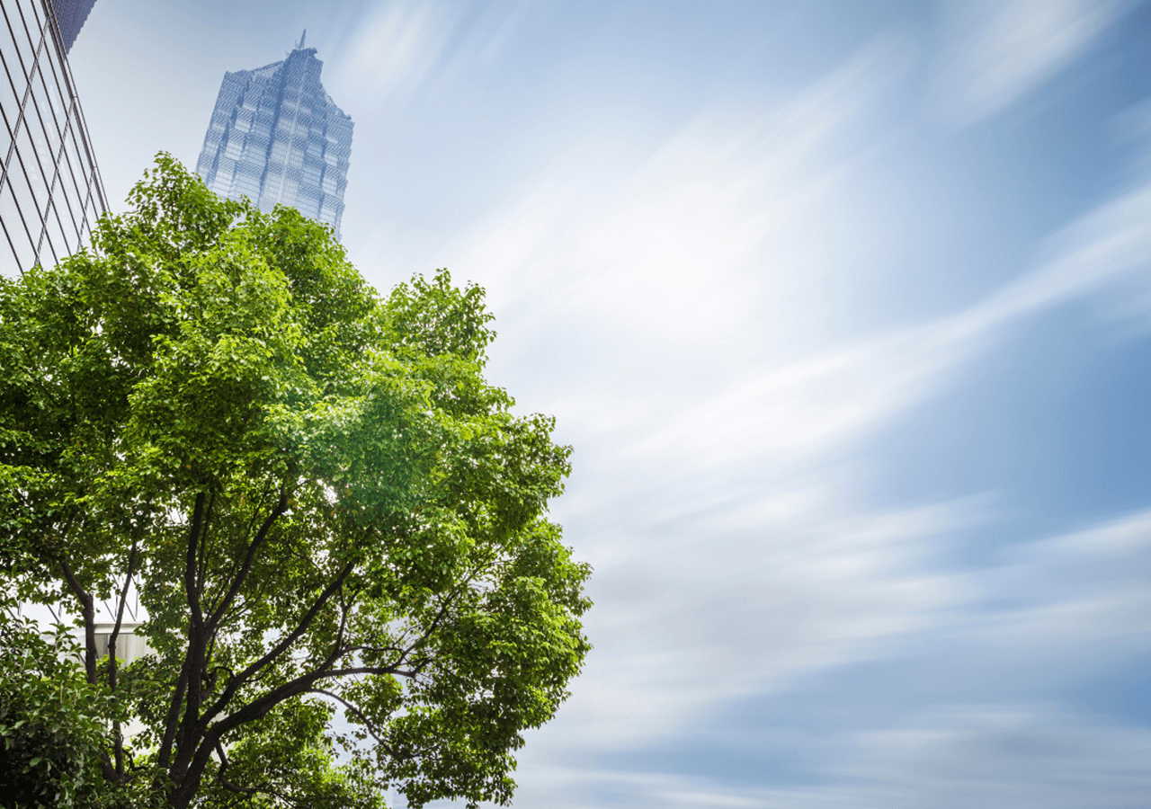 Ingénierie Environnementale Et Écologique