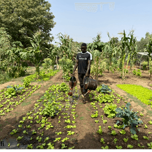 Formation Jardinier Projet LAAFI