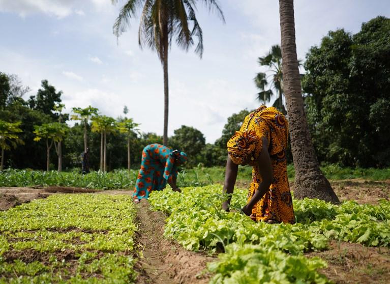 BIODIV 3 Femme Tchad ©Riccardo Niels Mayer