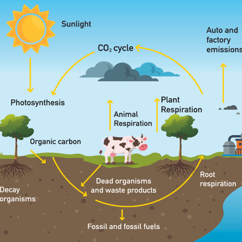 Square Soil.Is