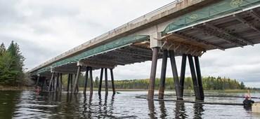 Reed Narrows Bridge