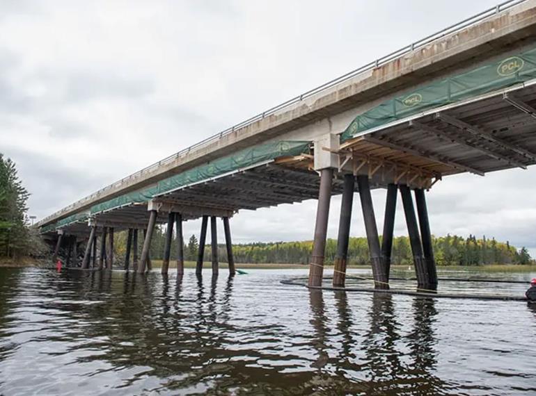 Reed Narrows Bridge