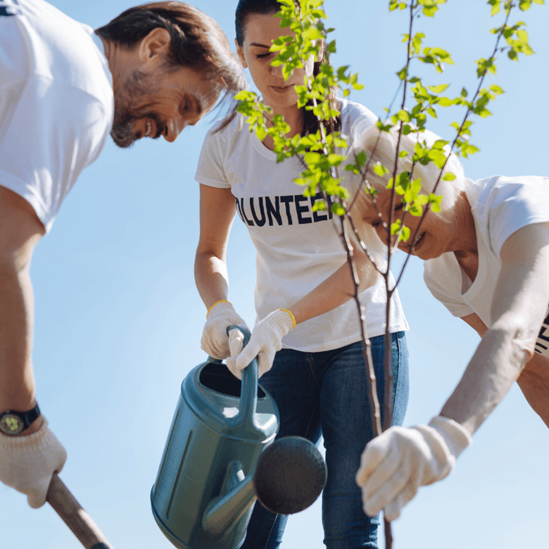 ©Adobestock Viacheslav Lakobchuk Neat Productive Team Putting Young Plants In The Soil