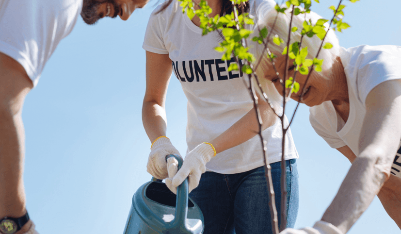 ©Adobestock Viacheslav Lakobchuk Neat Productive Team Putting Young Plants In The Soil